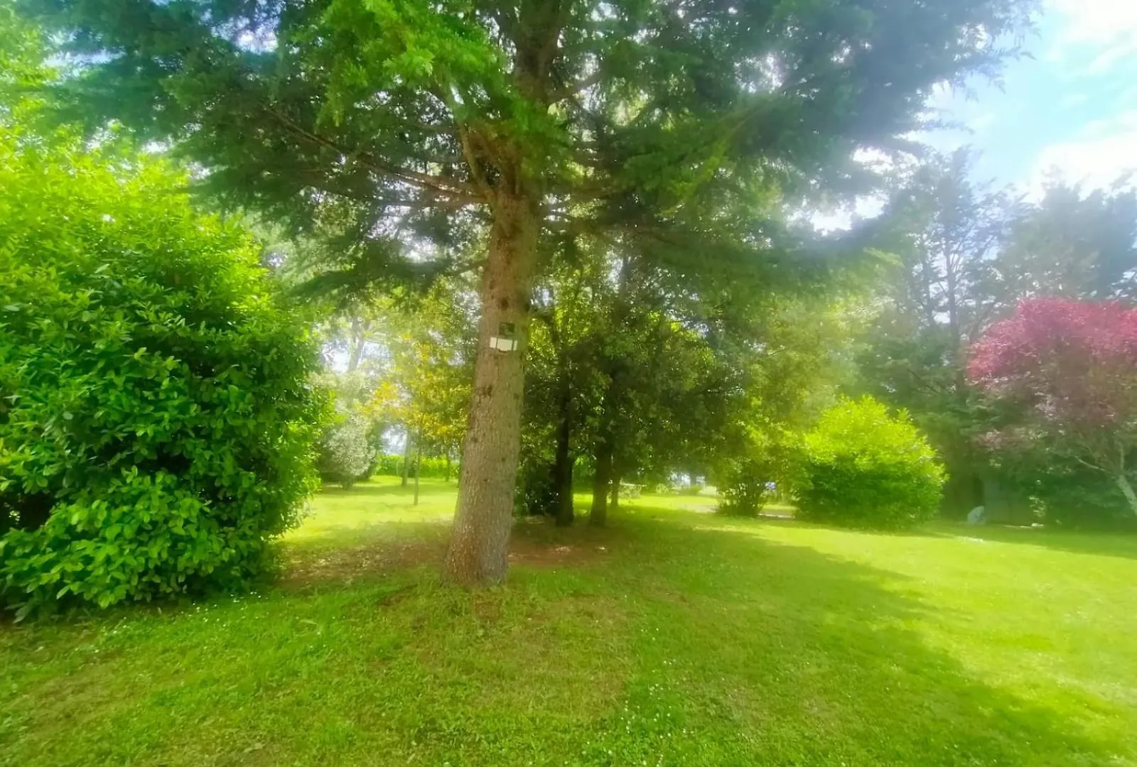 Villetta Con Parco Vicino San Gimignano Colle Val D'Elsa Holiday home