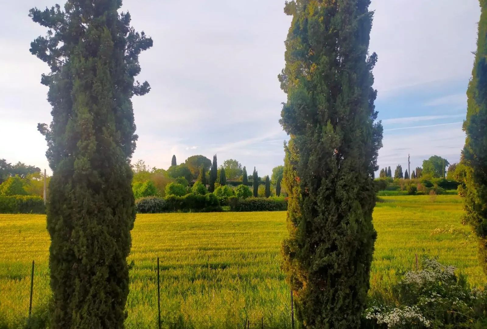 Holiday home Villetta Con Parco Vicino San Gimignano Colle Val D'Elsa